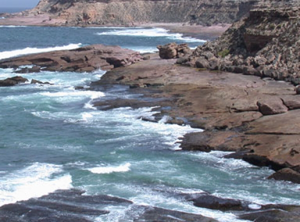 Eyre Peninsula Tours